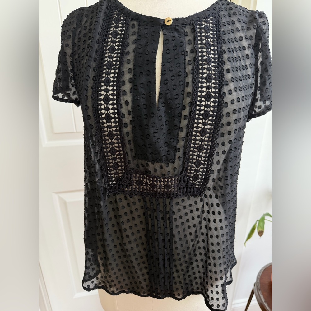 Meadow Rue Black Swiss Dot Sheer Button Top